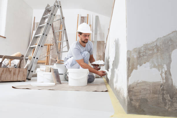 Best Residential Painting  in Redland, MD